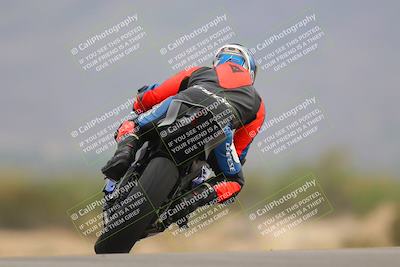 media/Sep-10-2023-SoCal Trackdays (Sun) [[6b4faecef6]]/Turn 9 Backside (940am)/